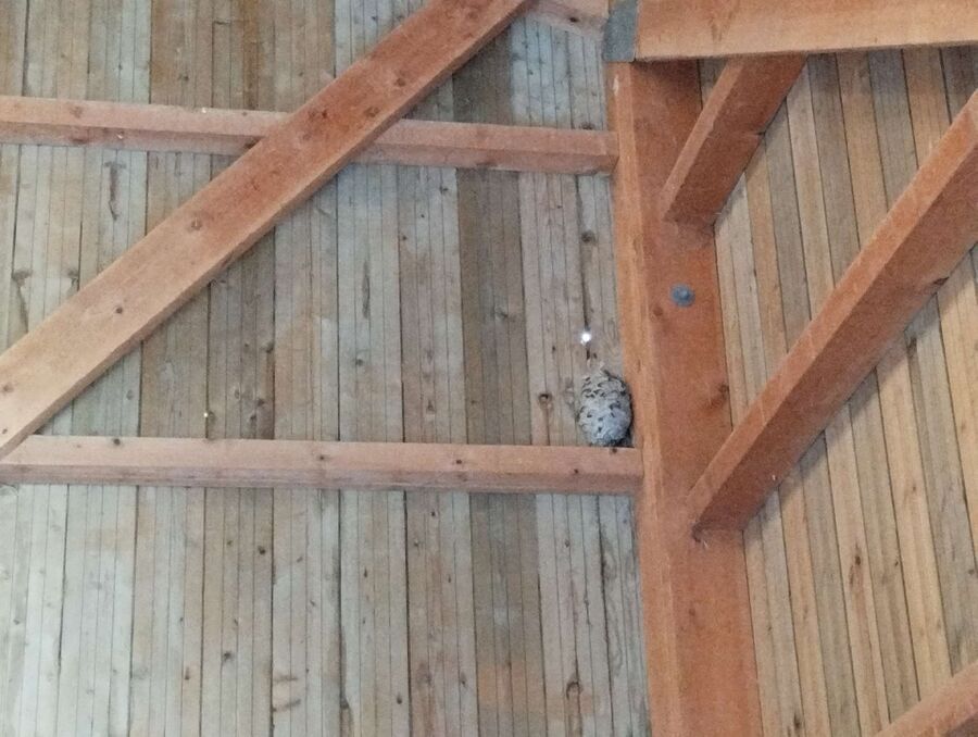 enlever un nid d abeille