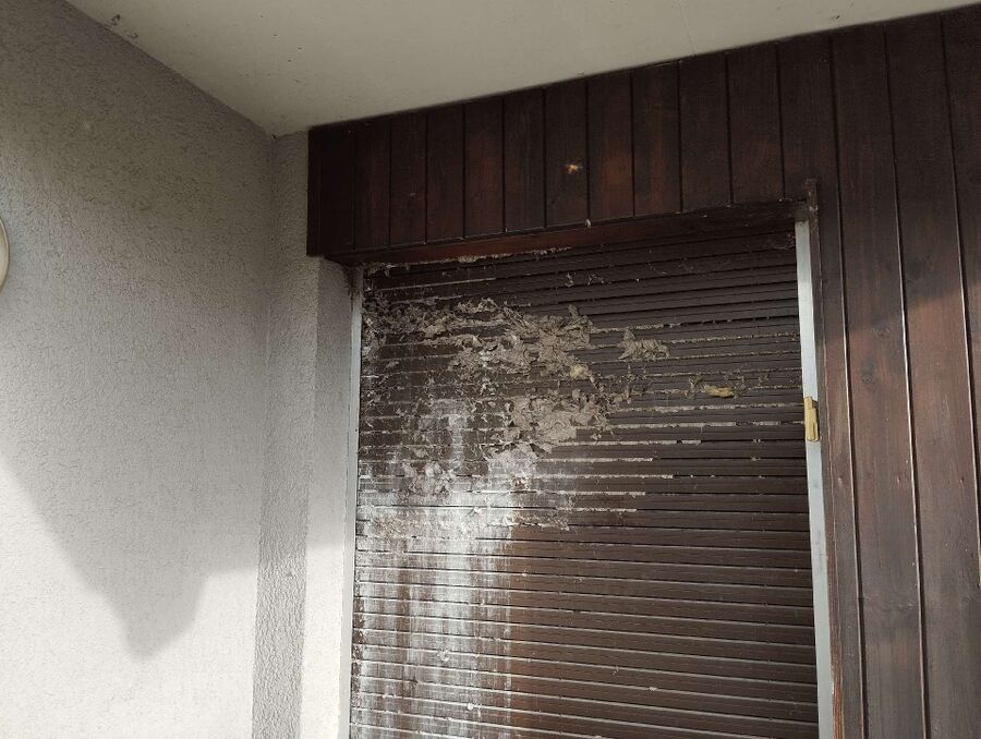 ruche abeille maison que faire