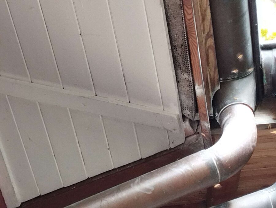 essaim d abeille enlevement