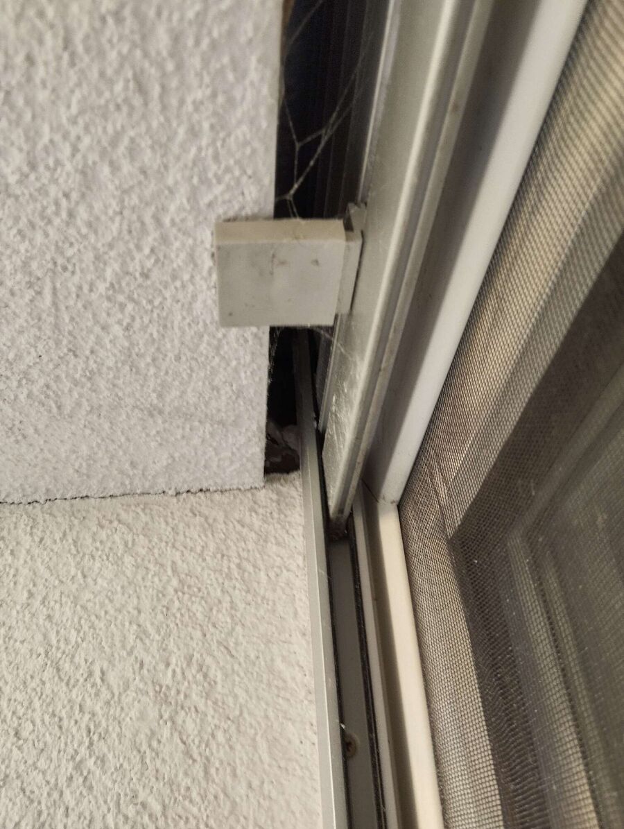 essaim d abeille enlevement