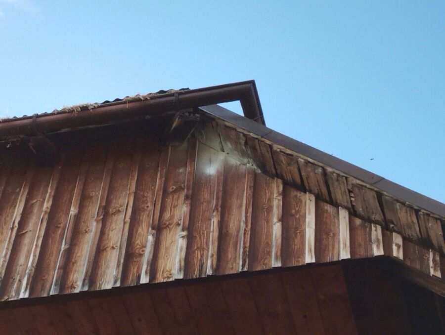 ruche abeille maison que faire