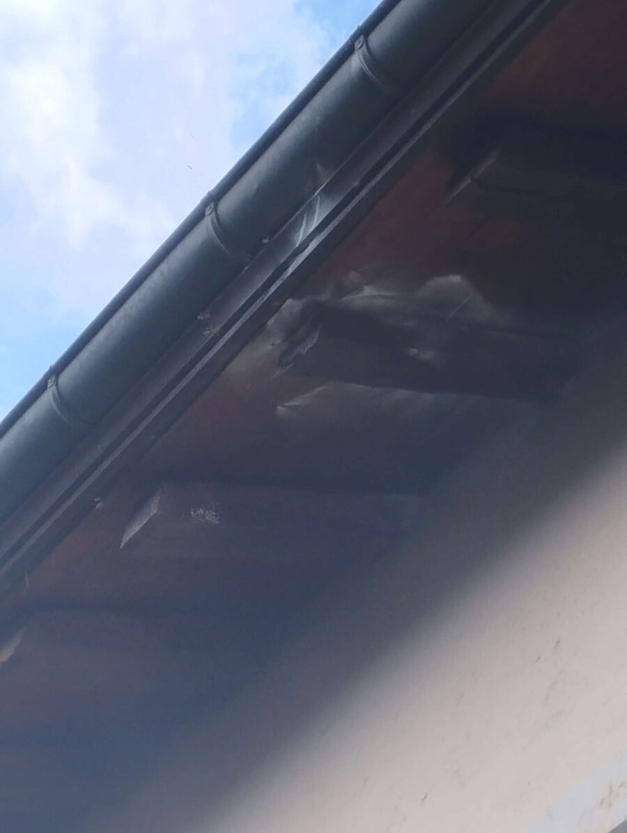 nid d abeille que faire