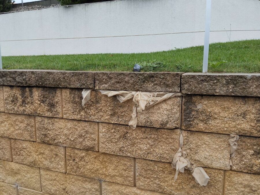 ruche abeille maison que faire