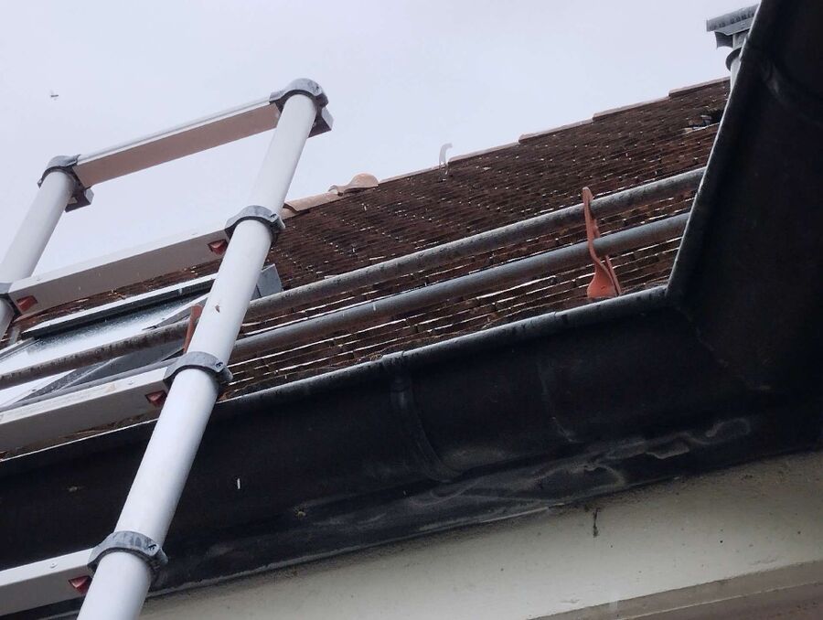 enlever un nid d abeille