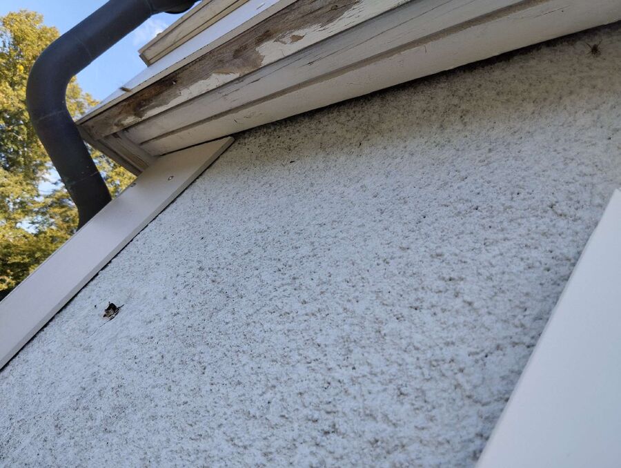 ruche abeille maison que faire