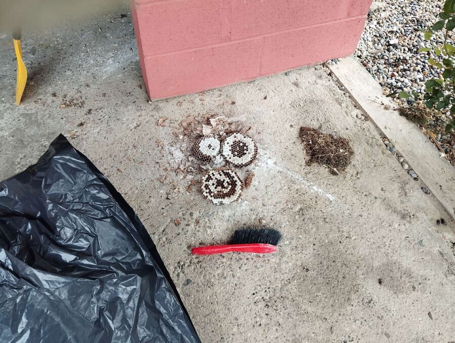 nid d abeille que faire