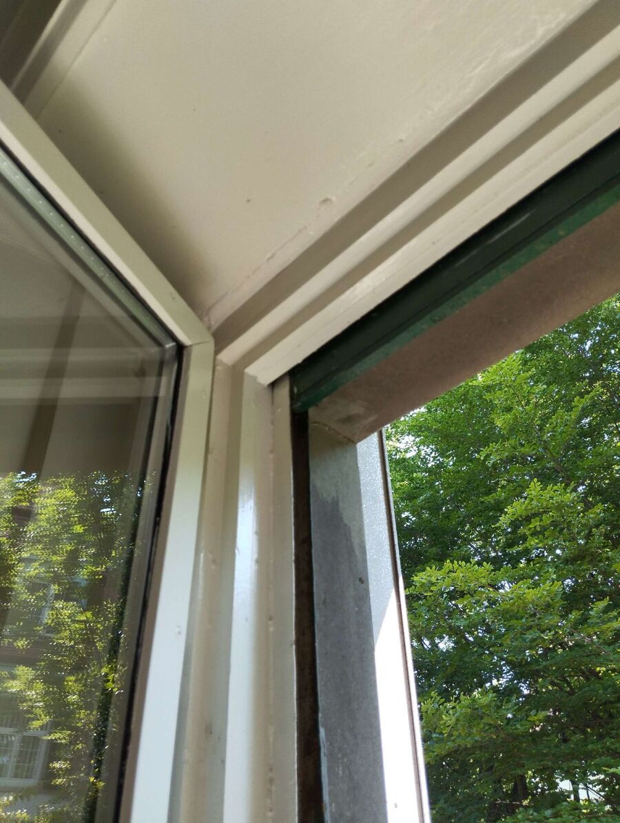 nid d abeille que faire