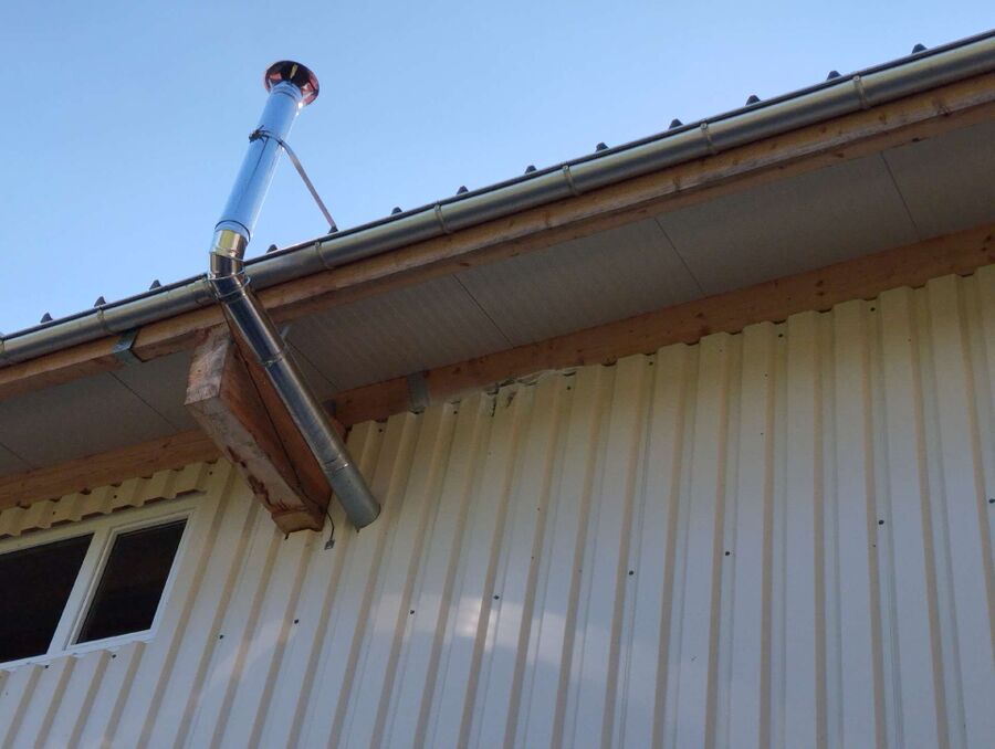 ruche abeille maison que faire