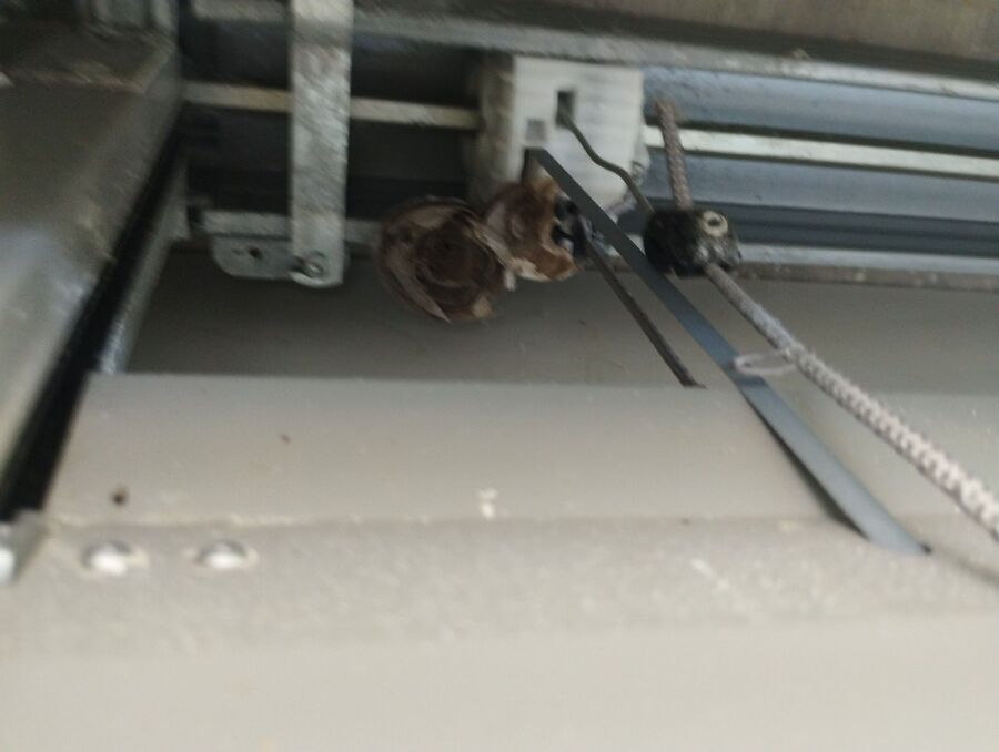 ruche abeille maison que faire