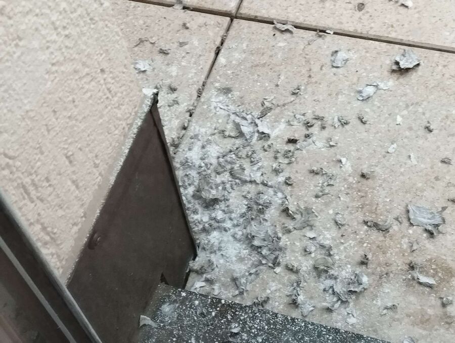 enlever un nid d abeille