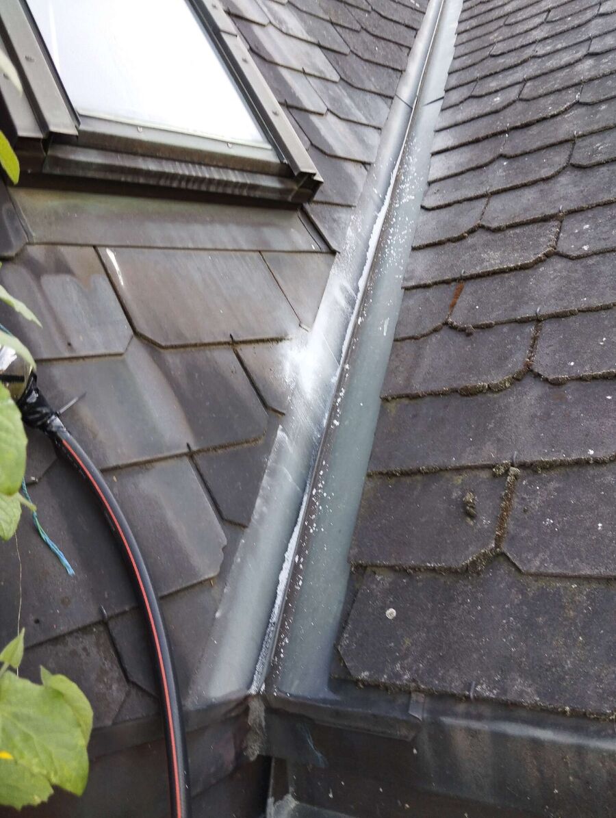 ruche abeille maison que faire