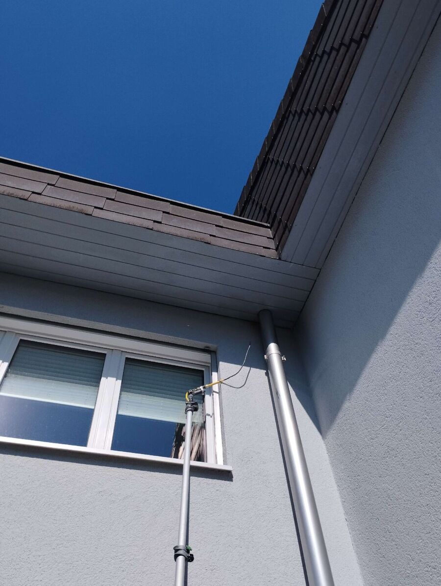 essaim d abeille enlevement