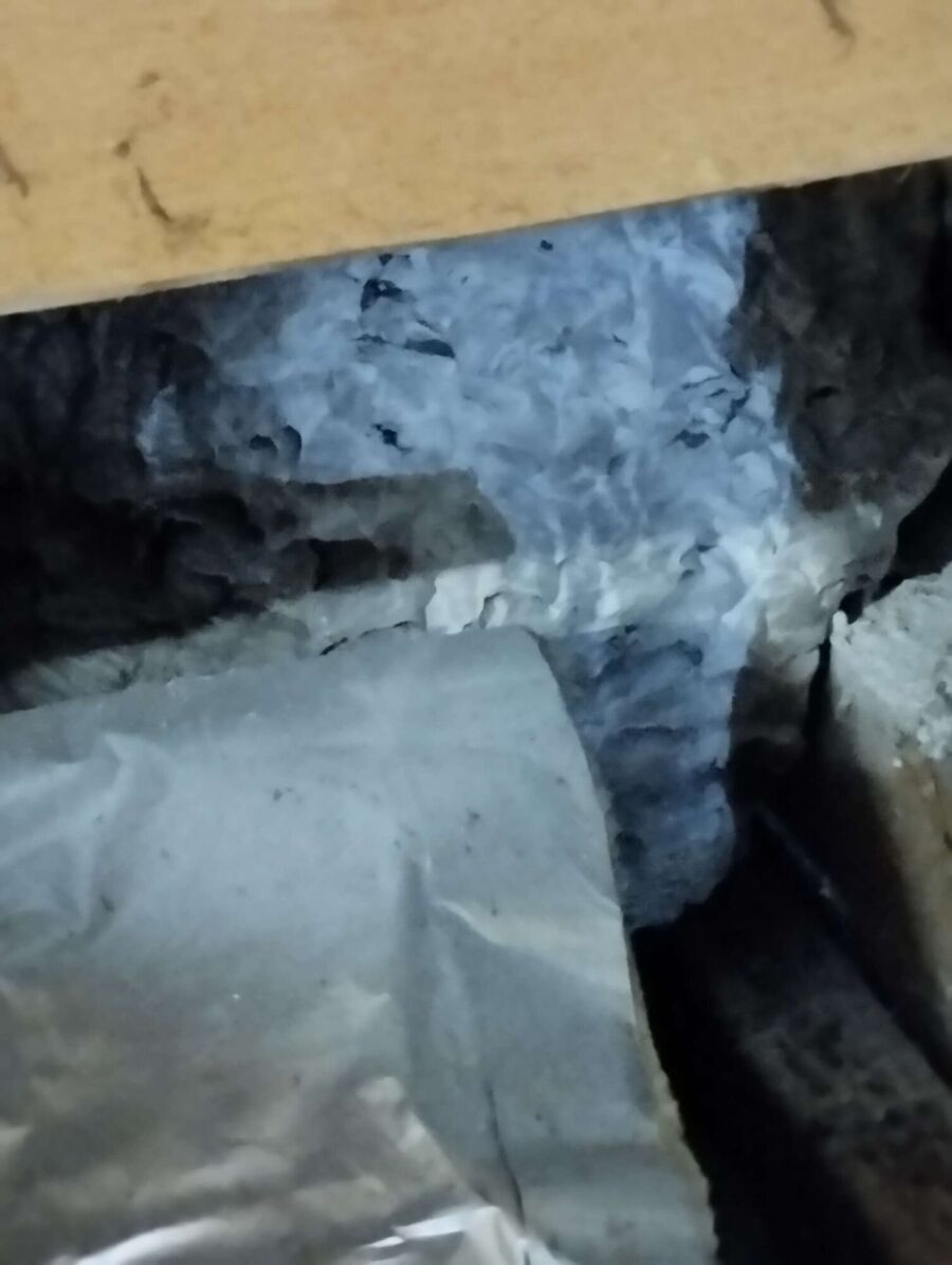 essaim d abeille enlevement