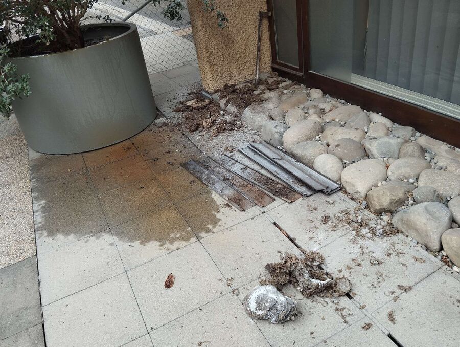 enlever un nid d abeille