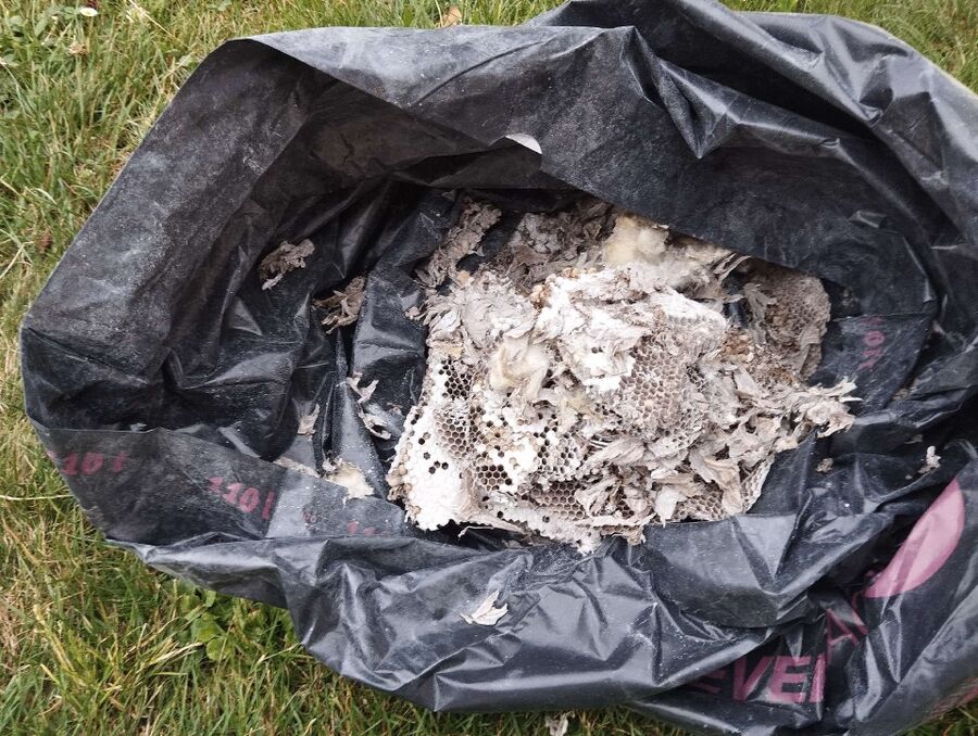 nid d abeille que faire