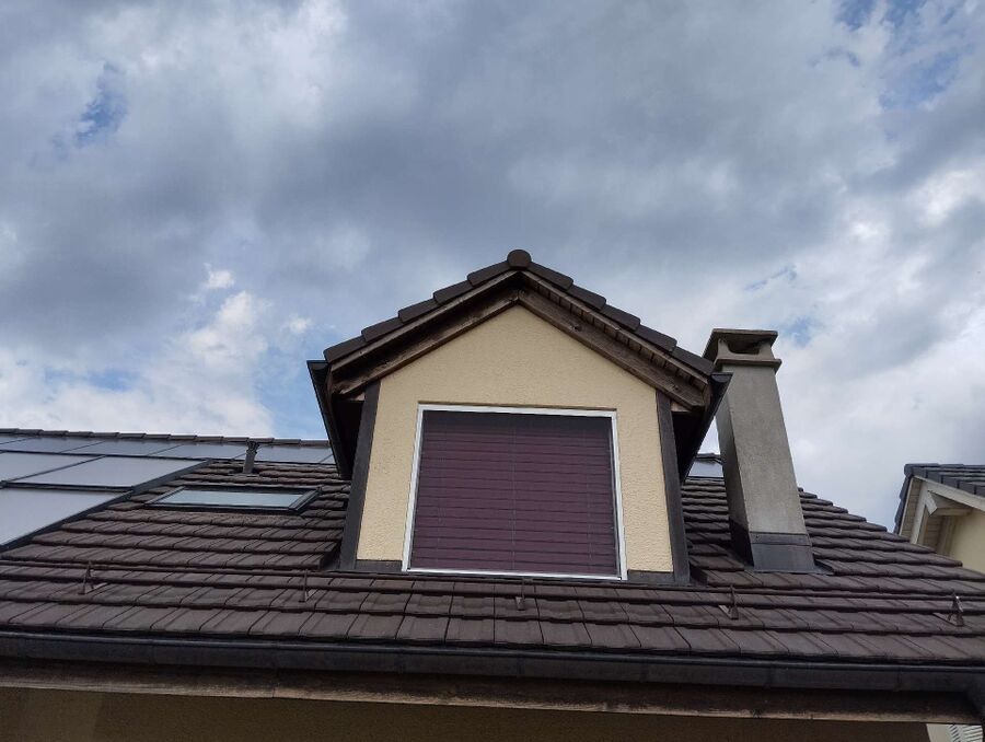 essaim d abeille enlevement