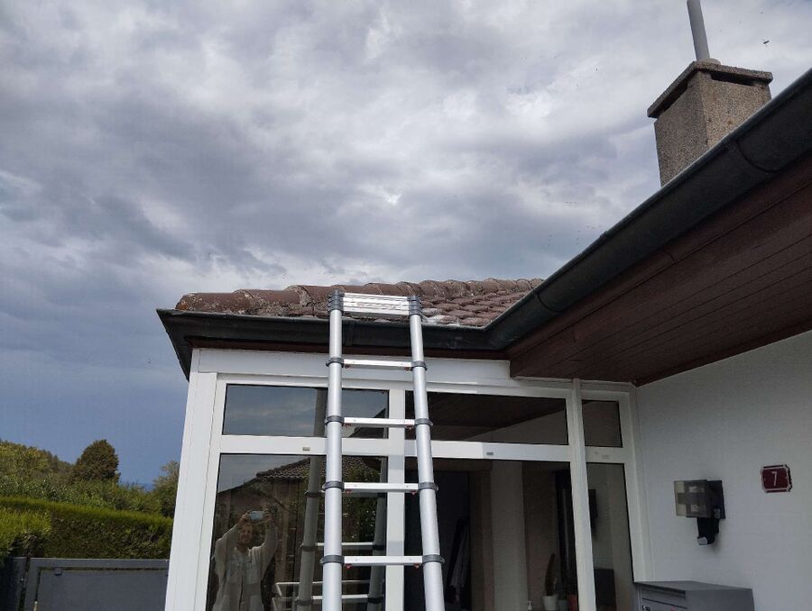 enlever un nid d abeille