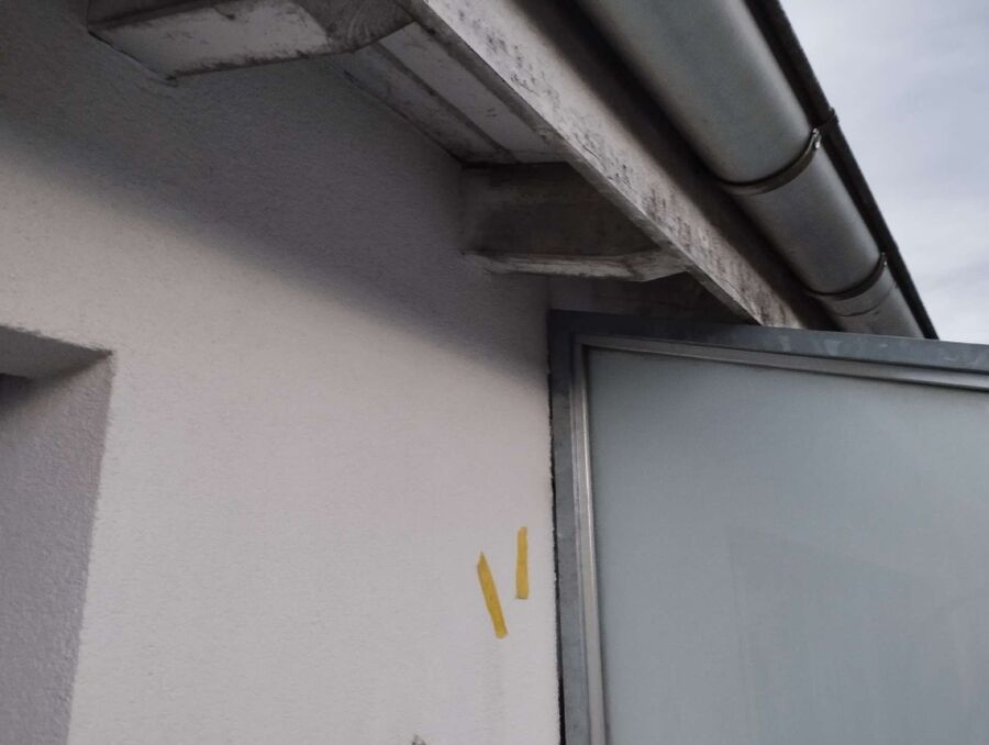 essaim d abeille enlevement