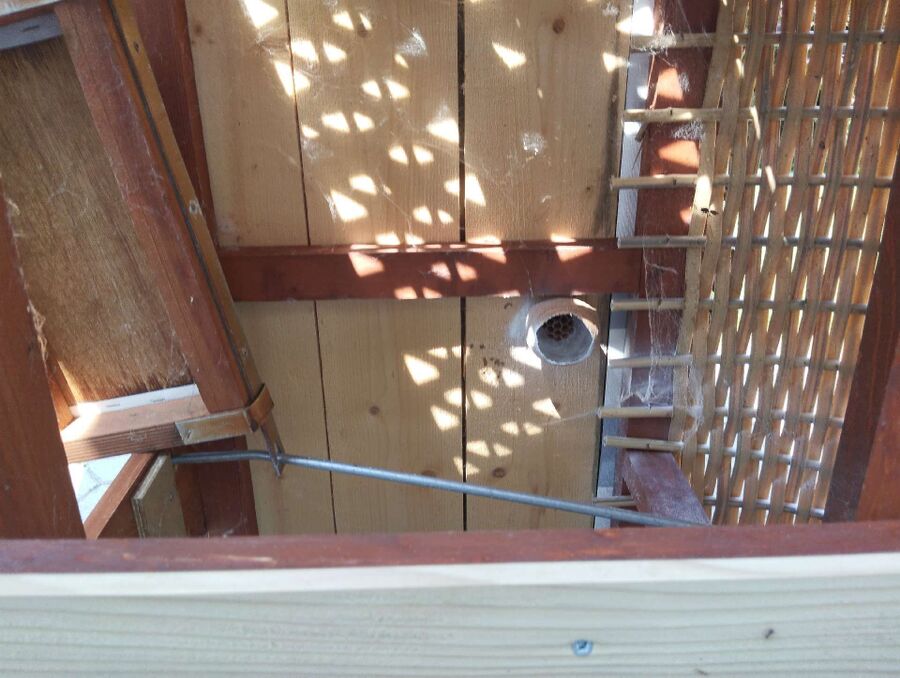 enlever un nid d abeille