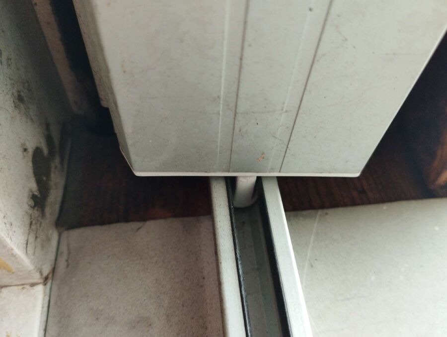 essaim d abeille enlevement