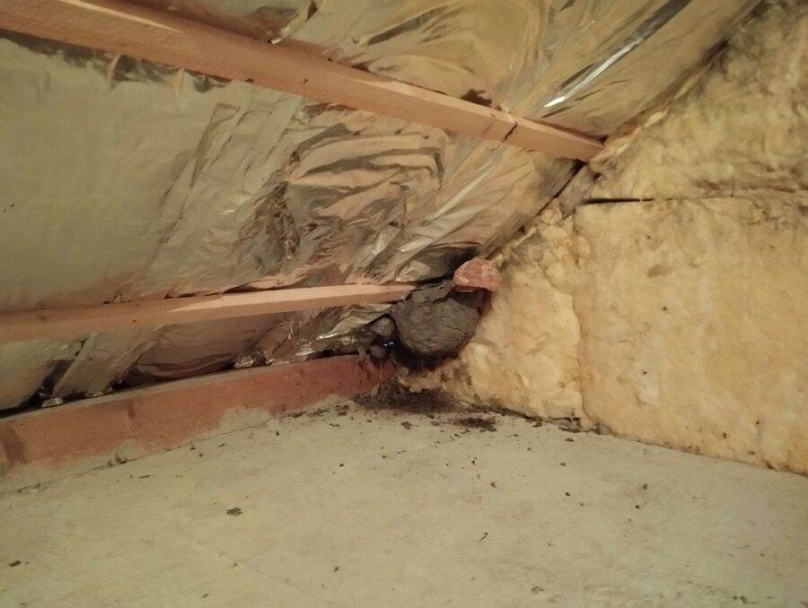 nid d abeille que faire